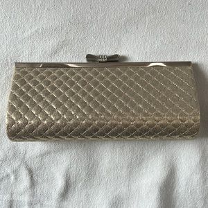 Evening Clutch